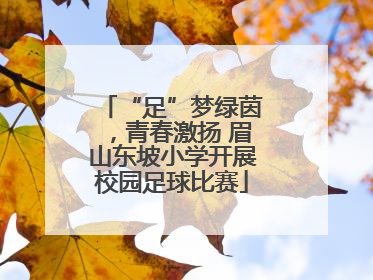 “足”梦绿茵，青春激扬 眉山东坡小学开展校园足球比赛