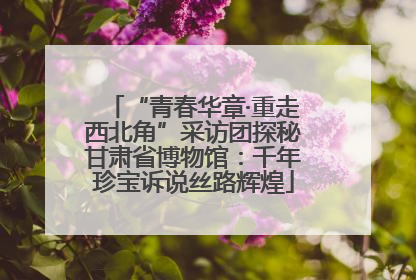 “青春华章·重走西北角”采访团探秘甘肃省博物馆：千年珍宝诉说丝路辉煌
