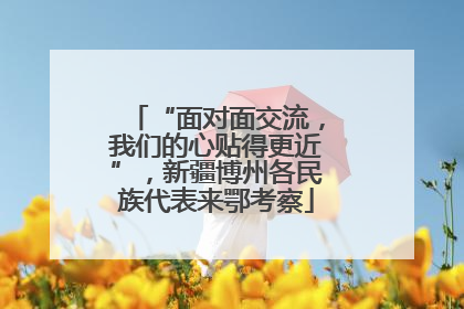“面对面交流，我们的心贴得更近”，新疆博州各民族代表来鄂考察