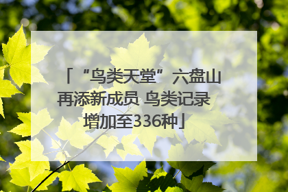 “鸟类天堂”六盘山再添新成员 鸟类记录增加至336种