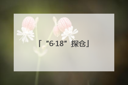 “6·18”探仓