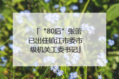 “80后”张蕾已出任镇江市委市级机关工委书记