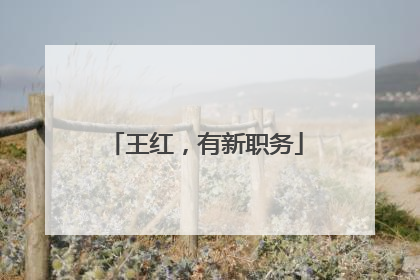 王红，有新职务