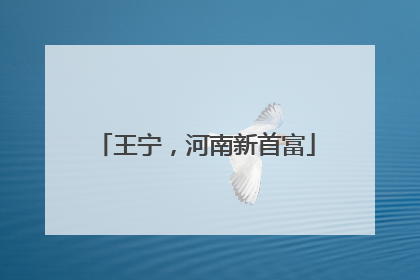 王宁，河南新首富
