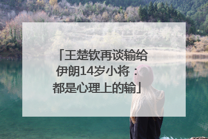 王楚钦再谈输给伊朗14岁小将：都是心理上的输