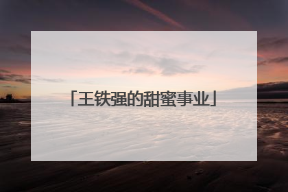 王铁强的甜蜜事业