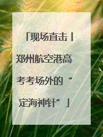 现场直击丨郑州航空港高考考场外的“定海神针”