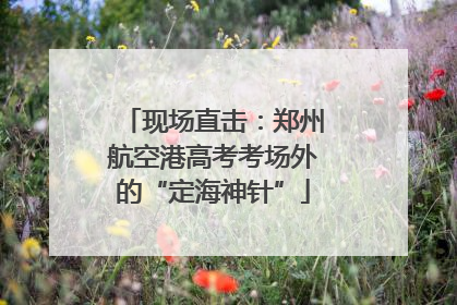 现场直击：郑州航空港高考考场外的“定海神针”