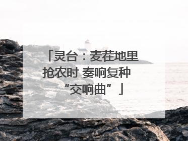 灵台：麦茬地里抢农时 奏响复种“交响曲”