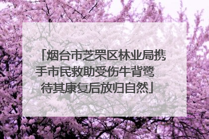 烟台市芝罘区林业局携手市民救助受伤牛背鹭 待其康复后放归自然