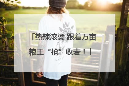 热辣滚烫 跟着万亩粮王“抢”收麦！