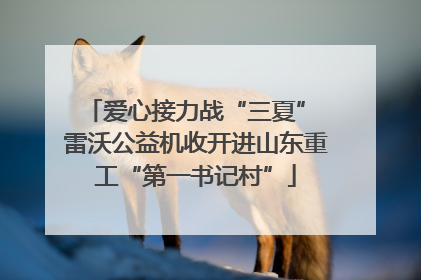 爱心接力战“三夏” 雷沃公益机收开进山东重工“第一书记村”