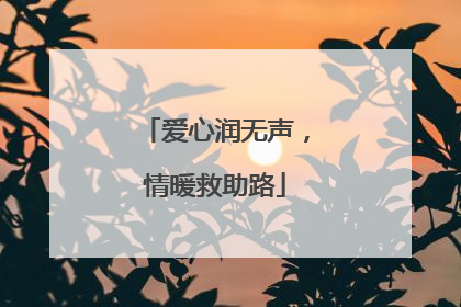 爱心润无声，情暖救助路