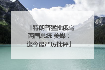 特朗普猛批俄乌两国总统 美媒：迄今最严厉批评