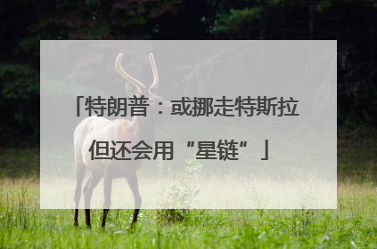 特朗普：或挪走特斯拉 但还会用“星链”