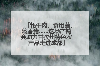 牦牛肉、食用菌、藏香猪……这场产销会助力甘孜州特色农产品走进成都