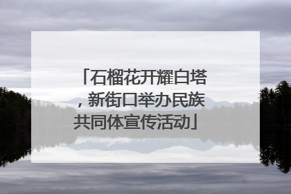 石榴花开耀白塔，新街口举办民族共同体宣传活动