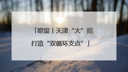 瞭望丨天津“大”招打造“双循环支点”