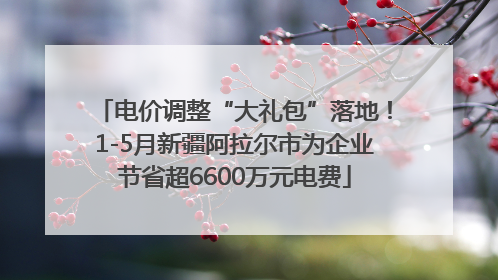 电价调整“大礼包”落地！1-5月新疆阿拉尔市为企业节省超6600万元电费