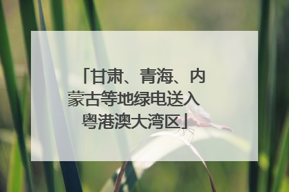 甘肃、青海、内蒙古等地绿电送入粤港澳大湾区