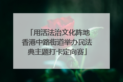 用活法治文化阵地 香港中路街道举办民法典主题打卡定向赛