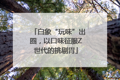 白象“玩味”出圈，以口味征服Z世代的挑剔胃