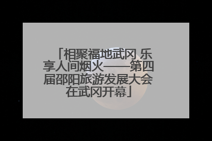 相聚福地武冈 乐享人间烟火——第四届邵阳旅游发展大会在武冈开幕