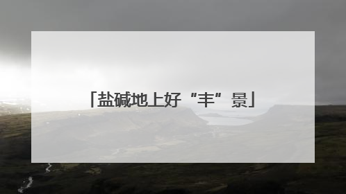 盐碱地上好“丰”景