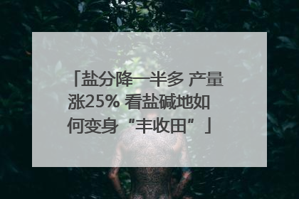 盐分降一半多 产量涨25% 看盐碱地如何变身“丰收田”