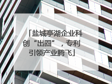 盐城亭湖企业科创“出圈”，专利引领产业腾飞