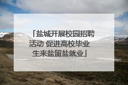 盐城开展校园招聘活动 促进高校毕业生来盐留盐就业