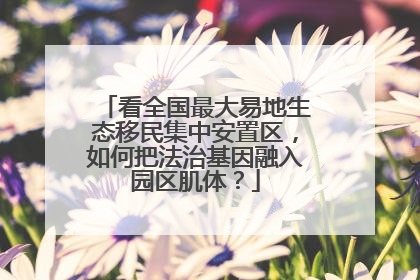 看全国最大易地生态移民集中安置区，如何把法治基因融入园区肌体？