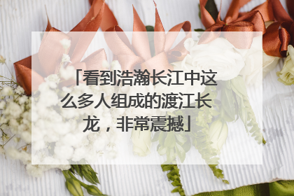 看到浩瀚长江中这么多人组成的渡江长龙，非常震撼