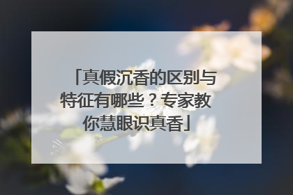 真假沉香的区别与特征有哪些？专家教你慧眼识真香