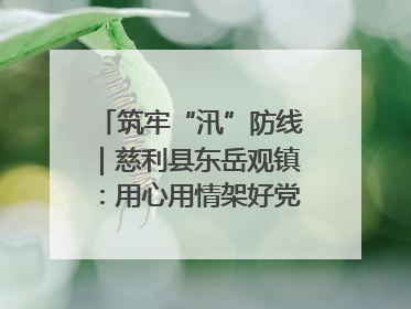 筑牢“汛”防线｜慈利县东岳观镇：用心用情架好党群温暖悠长的“连心桥”