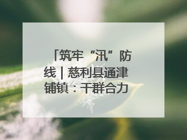 筑牢“汛”防线｜慈利县通津铺镇：干群合力抗击洪灾