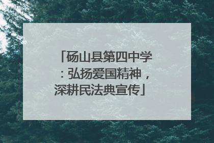 砀山县第四中学：弘扬爱国精神，深耕民法典宣传