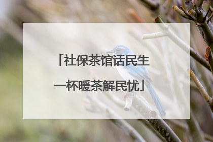 社保茶馆话民生 一杯暖茶解民忧