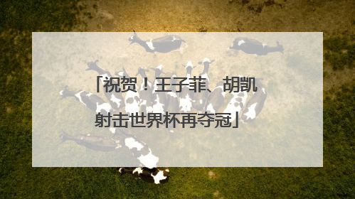 祝贺！王子菲、胡凯射击世界杯再夺冠