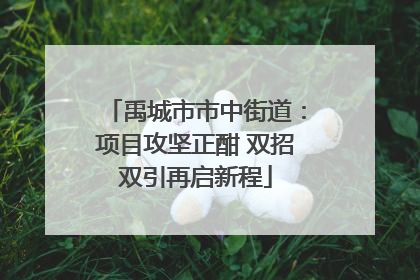 禹城市市中街道：项目攻坚正酣 双招双引再启新程