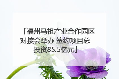福州马祖产业合作园区对接会举办 签约项目总投资85.5亿元