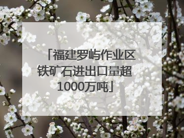 福建罗屿作业区铁矿石进出口量超1000万吨