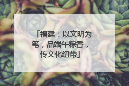 福建：以文明为笔，品端午粽香，传文化纽带