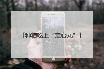 种粮吃上“定心丸”