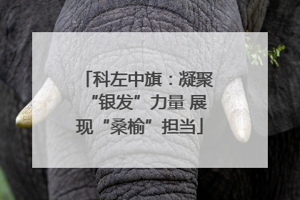 科左中旗：凝聚“银发”力量 展现“桑榆”担当
