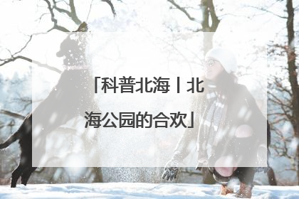 科普北海丨北海公园的合欢
