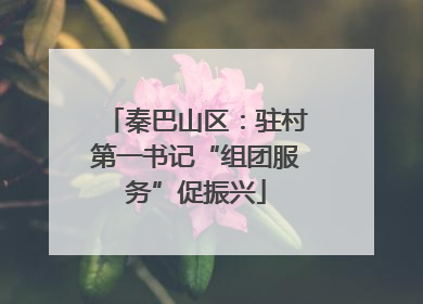 秦巴山区：驻村第一书记“组团服务”促振兴