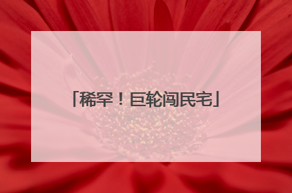 稀罕！巨轮闯民宅