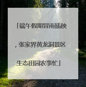 端午假期冒雨插秧，张家界黄龙洞景区生态田园农事忙