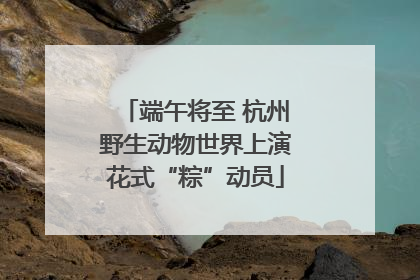 端午将至 杭州野生动物世界上演花式“粽”动员